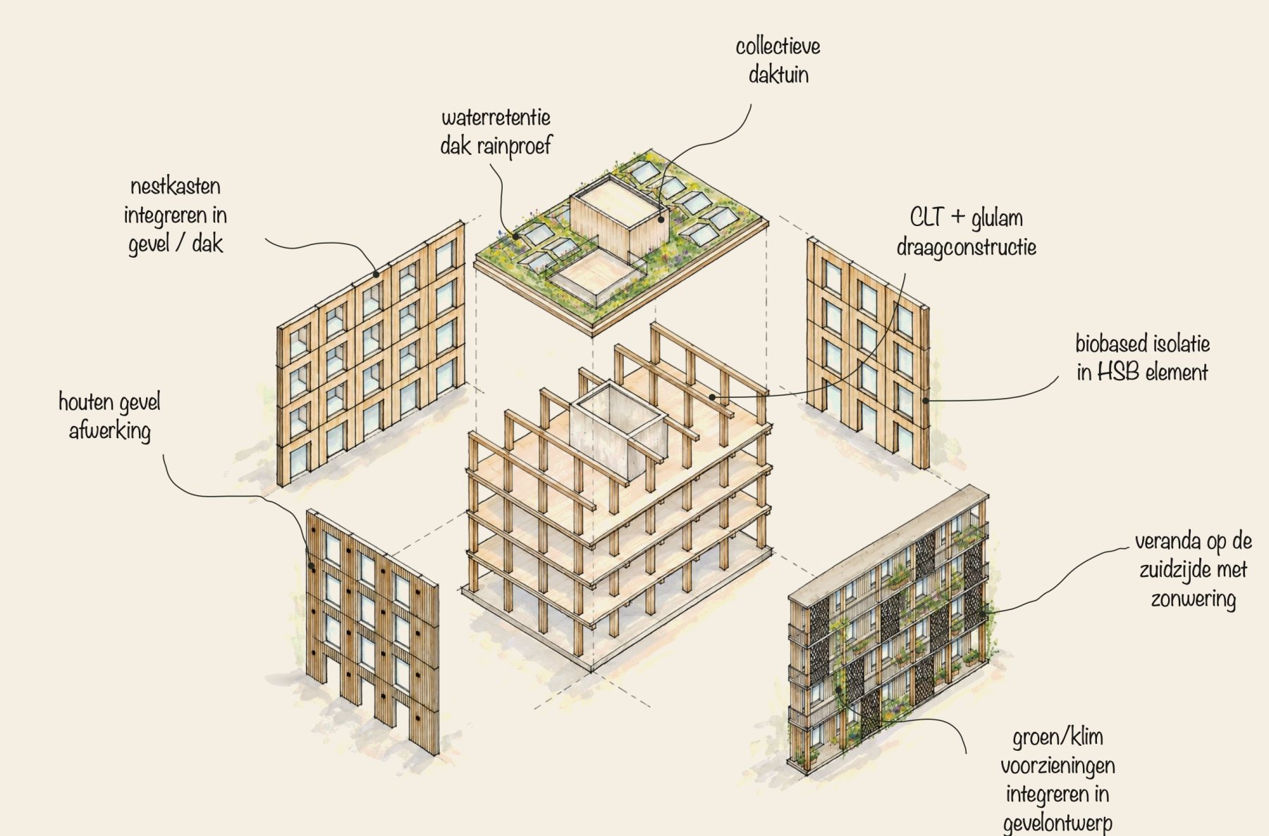 Opengewerkte tekening van het houten gebouw met CLT- en glulamconstructie, biobased isolatie, houten gevel, waterretentie op het dak, nestkasten, klimgroen en de veranda